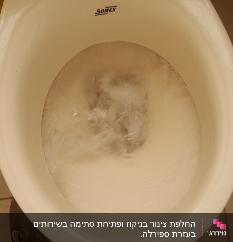 מים זורמים באסלה עם מכסה פתוח
